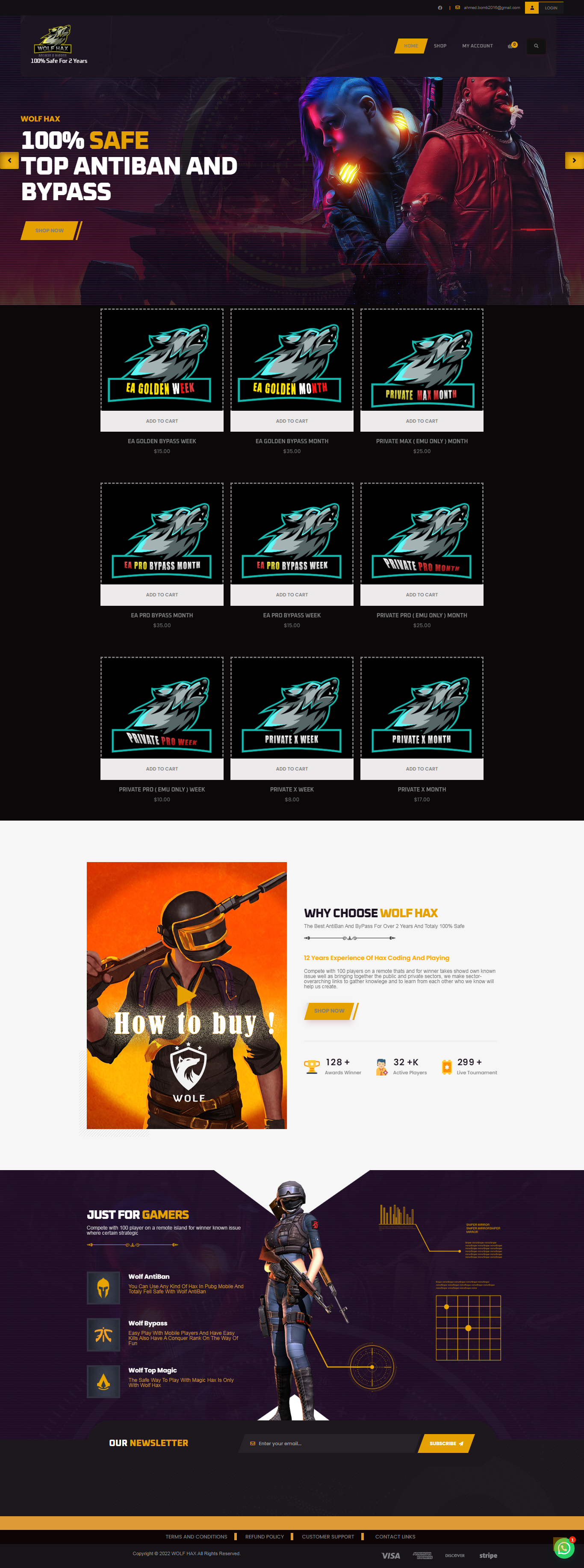 Website 5
